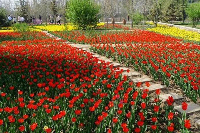 兰州植物园 兰州植物园