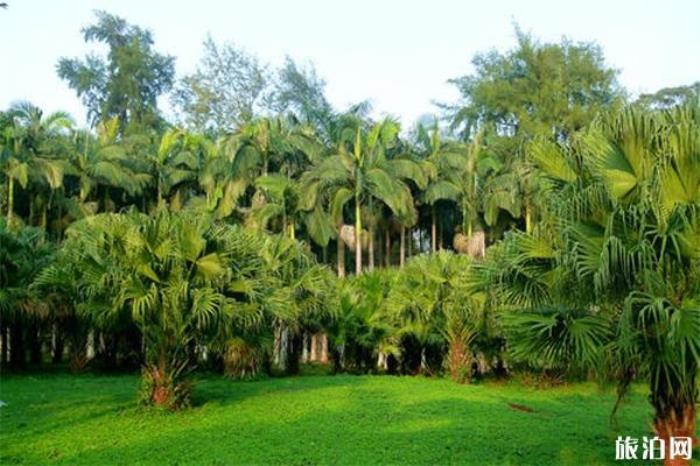 金牛岭公园 金牛岭公园