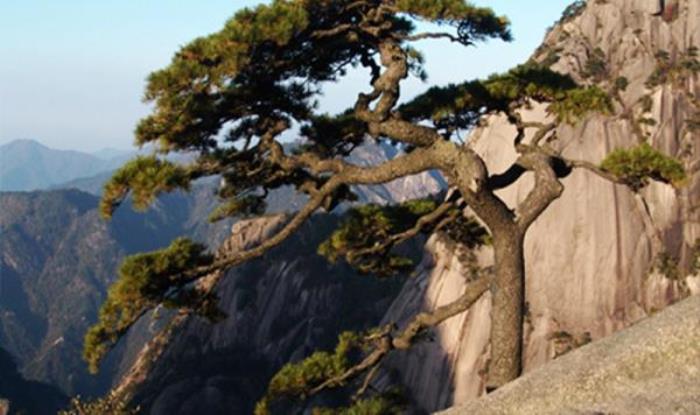 安徽黄山风景区