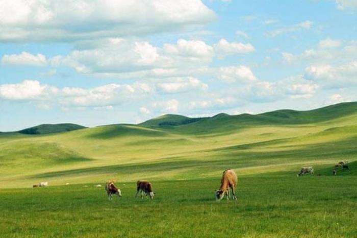 扎鲁特山地草原