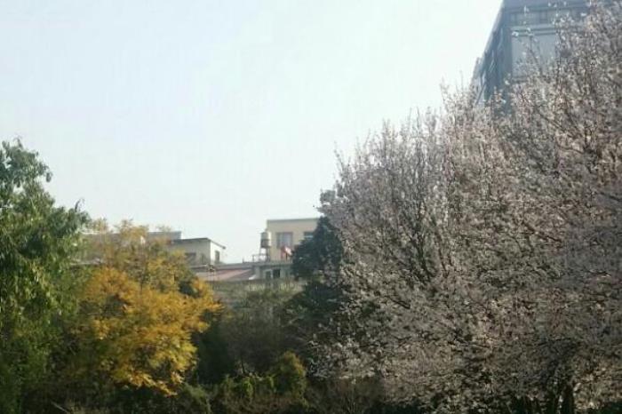 宝海公园 宝海公园