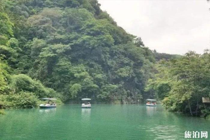 红果树龙桥生态旅游区