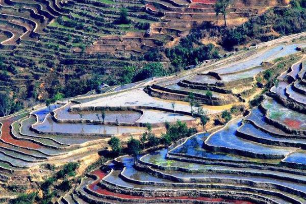 桂东梯田