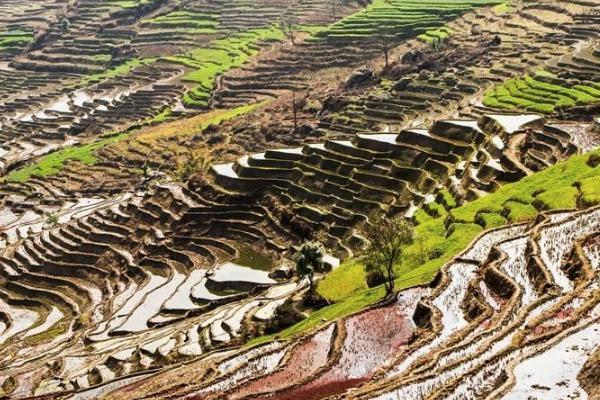 桂东梯田