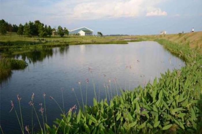 蒲河国家湿地公园