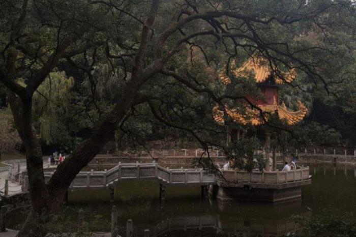 岳麓山森林公园 岳麓山森林公园