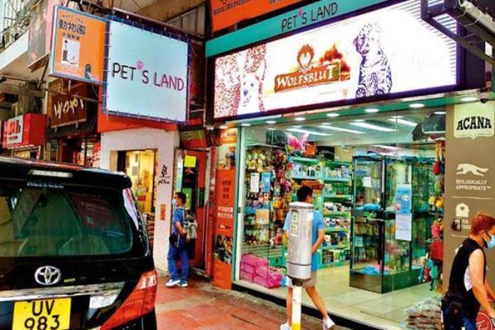 旺角宠物街 旺角宠物街