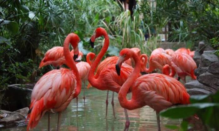 长鹿旅游休博园