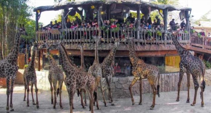 长鹿旅游休博园