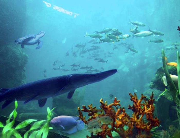 长鹿旅游休博园