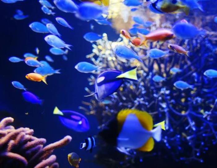 长鹿旅游休博园