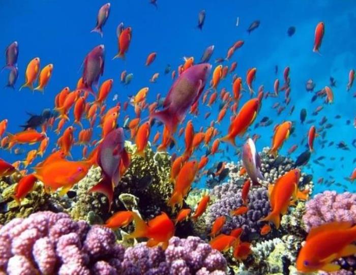 长鹿旅游休博园