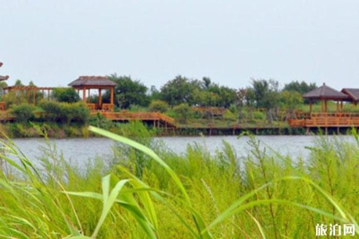 哈尔滨金河湾湿地植物园 哈尔滨金河湾湿地植物园