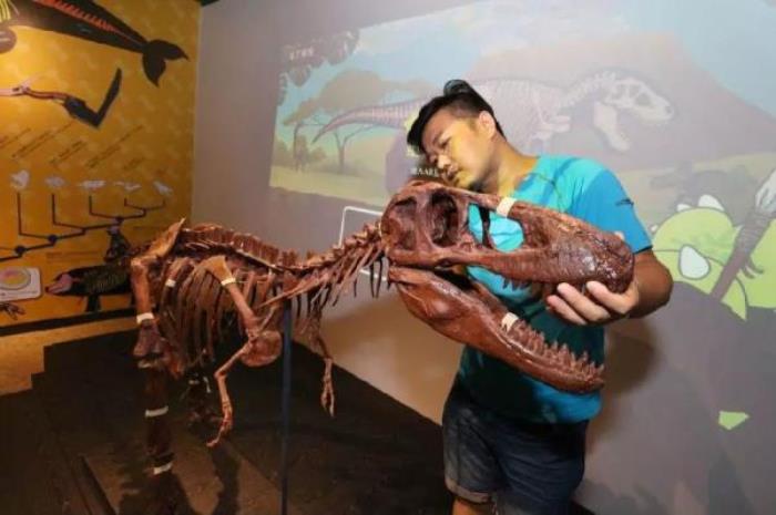 正佳自然科学博物馆 正佳自然科学博物馆