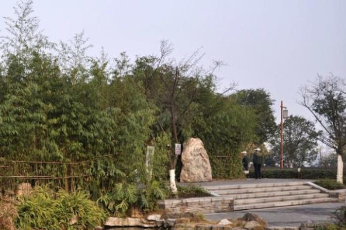 法界寺森林公园 法界寺森林公园