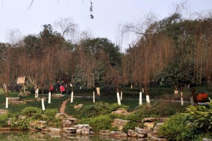 法界寺森林公园 法界寺森林公园