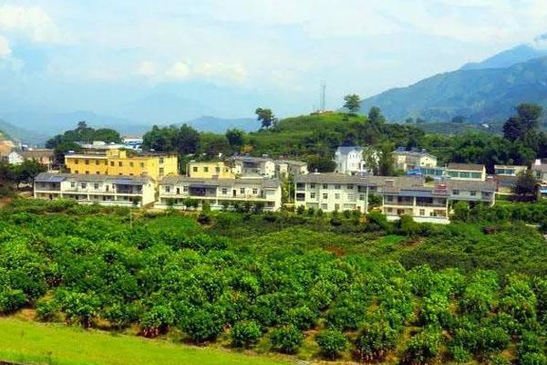 芭蕉箐旅游新村