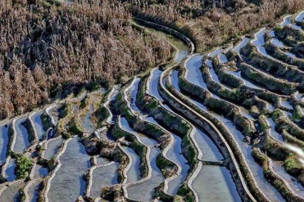 那诺梯田 那诺梯田