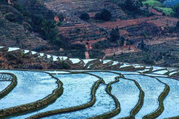 那诺梯田 那诺梯田