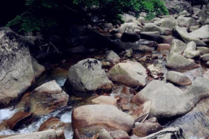 天华山国家森林公园