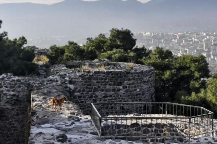 明秦王府城墙遗址