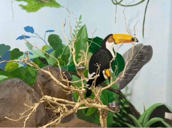 太原Tiny World室内动物主题乐园