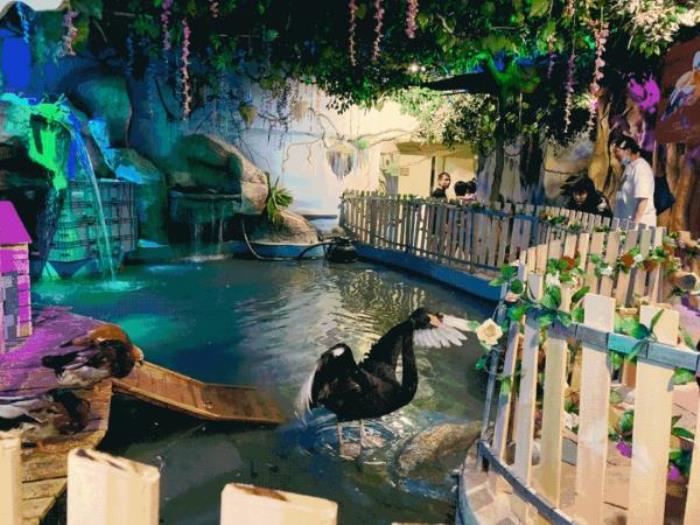 太原Tiny World室内动物主题乐园