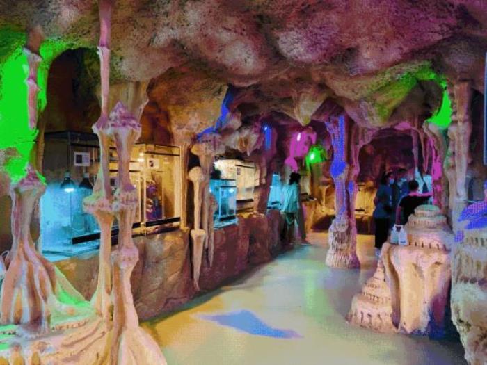 太原Tiny World室内动物主题乐园