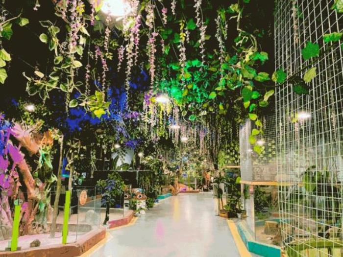 太原Tiny World室内动物主题乐园