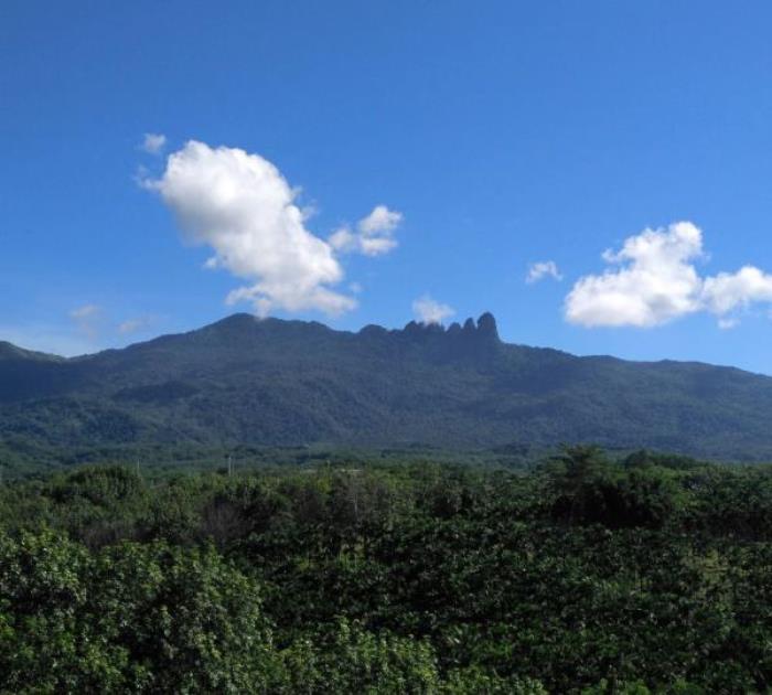 海南七仙岭温泉国家森林公园 海南七仙岭温泉国家森林公园