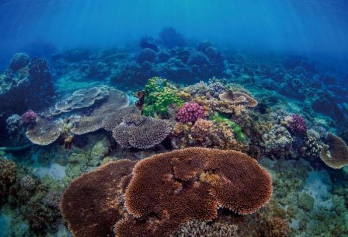 三亚蜈支洲岛旅游区 三亚蜈支洲岛旅游区