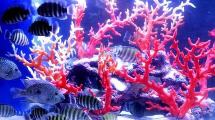 东莞海立方环游城 东莞海立方环游城