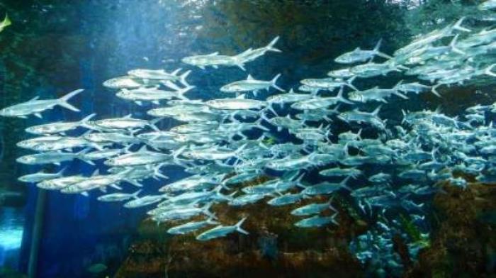 东莞海立方环游城 东莞海立方环游城