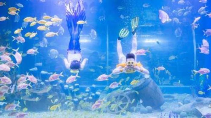 东莞海立方环游城 东莞海立方环游城