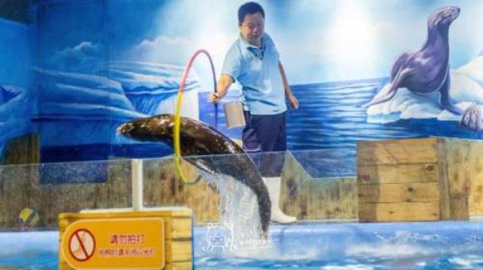 东莞海立方环游城 东莞海立方环游城