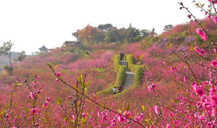 佛山-西樵山风景区 佛山-西樵山风景区