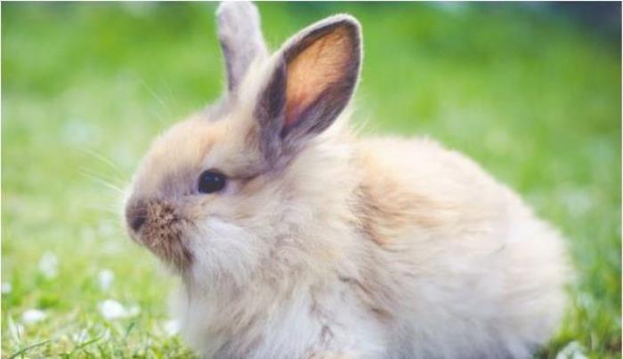 海迪尼欢乐梦幻园