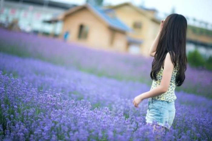 青草坡莱芠小镇