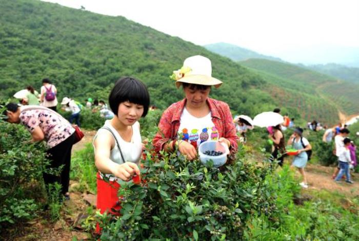 青草坡莱芠小镇
