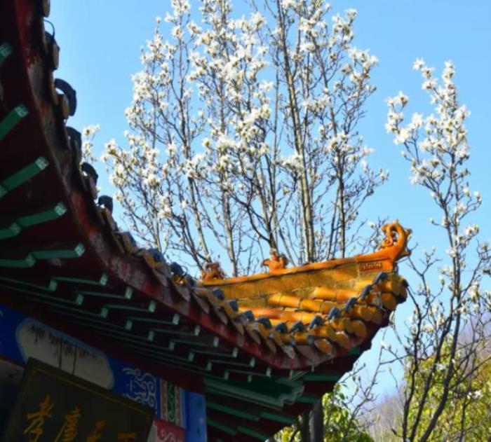 洛阳鸡冠洞景区