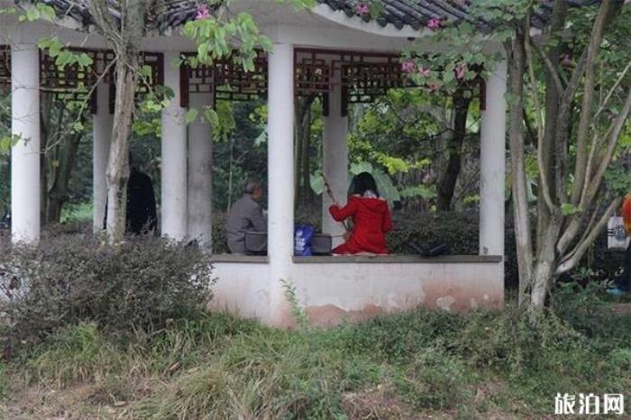 内江大千园 内江大千园