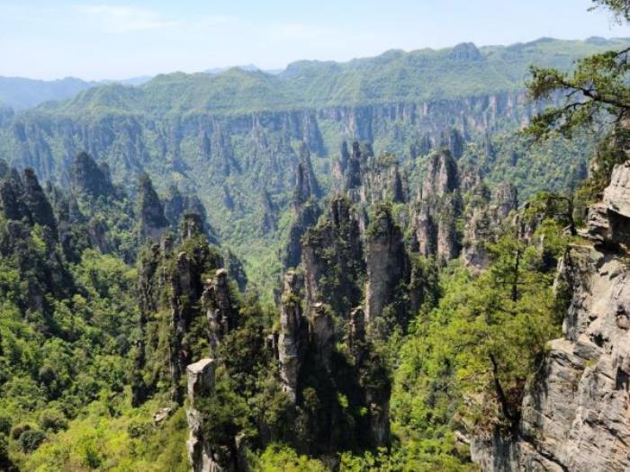 海南七仙岭温泉国家森林公园 海南七仙岭温泉国家森林公园