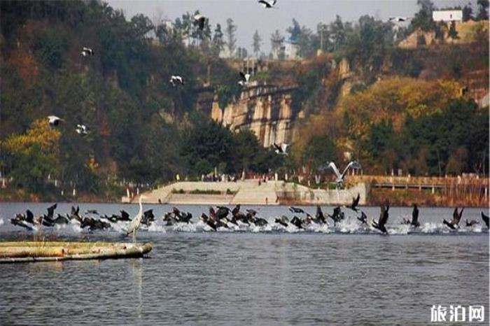 内市隆昌石牌坊旅游区 内市隆昌石牌坊旅游区