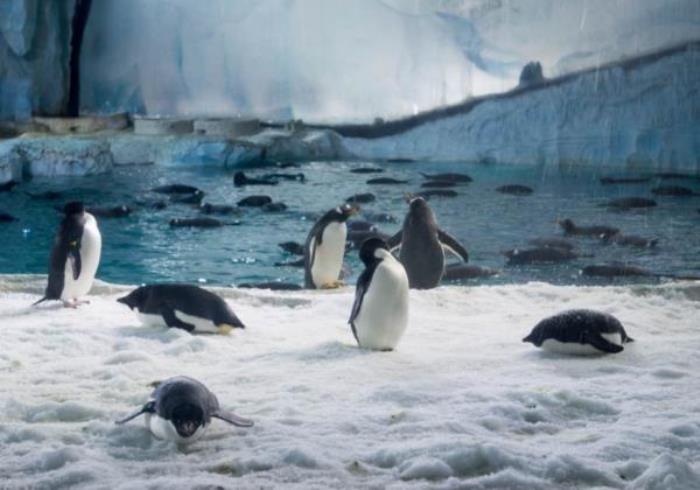 珠海长隆海洋王国