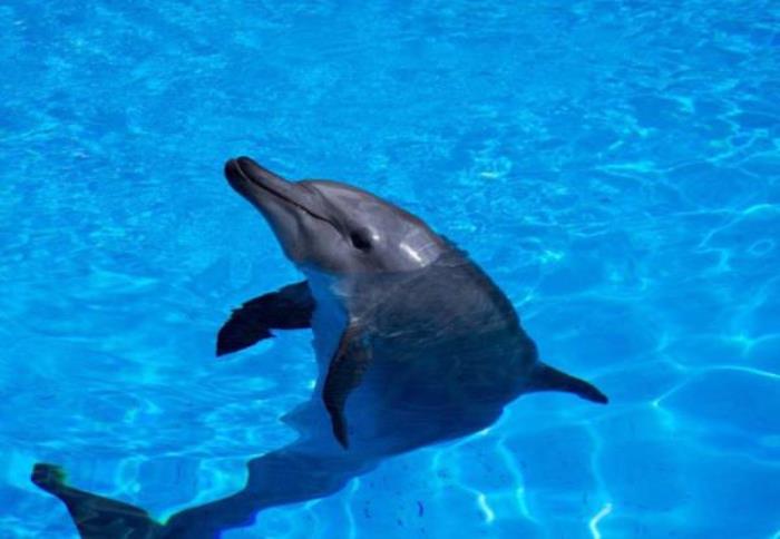 珠海长隆海洋王国