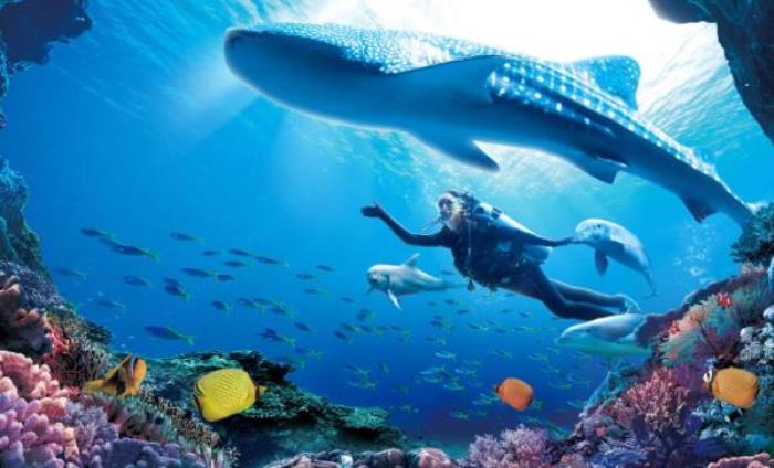 珠海长隆海洋王国