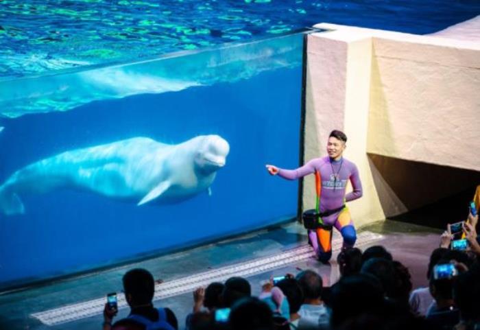 珠海长隆海洋王国