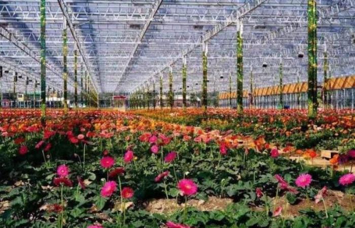 梦里水乡百花园