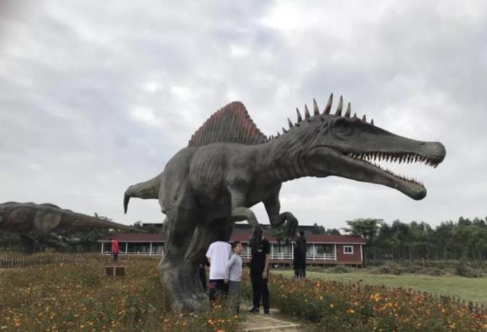 梦里水乡百花园