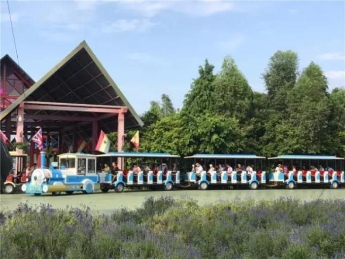 梦里水乡百花园